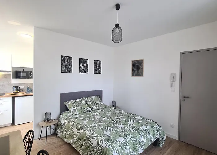 Ludo 1, Parking Prive, Wifi, Climatisation, Entree Autonome